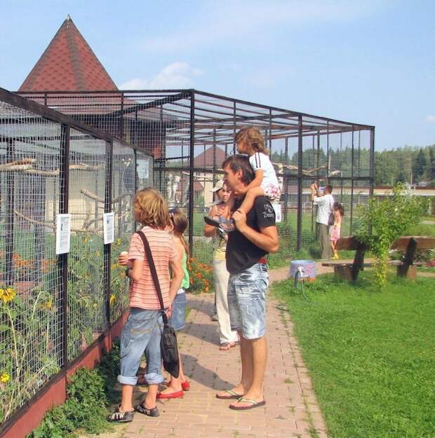 Парк Птиц «Воробьи»