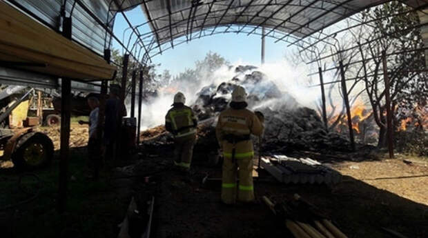 В Крыму сгорели более тысячи тюков соломы
