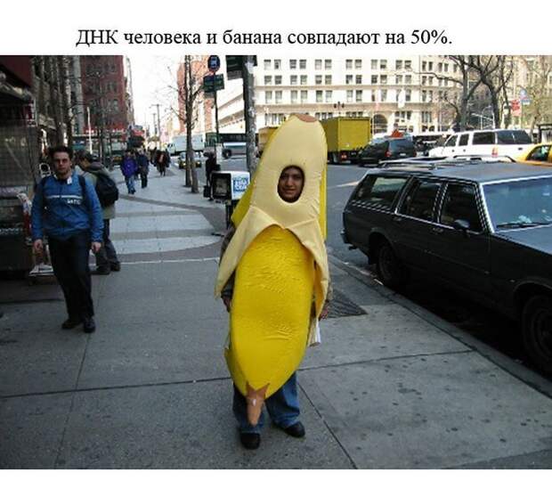 А знаете ли вы?... факты, познавательно, статистика