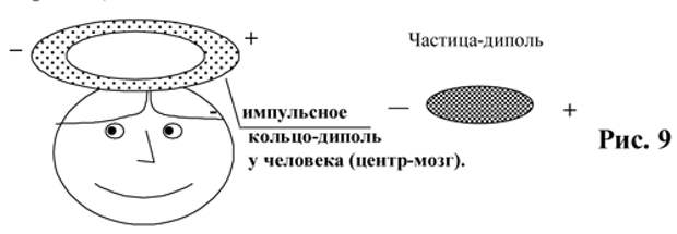 Душа и тайны ее строения