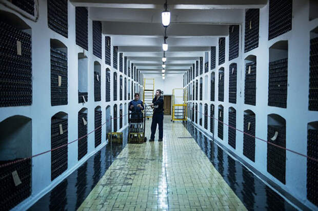 Как работает винодельческий завод «Массандра» в Крыму