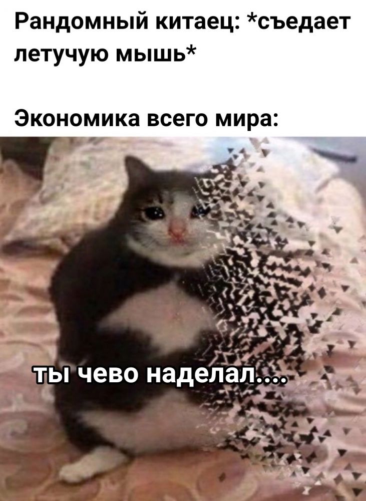 «Ты чево наделал»: Что за мем?