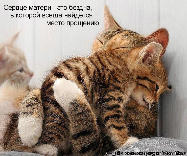 Сердце матери - это бездна, в которой всегда найдется  место прощению.