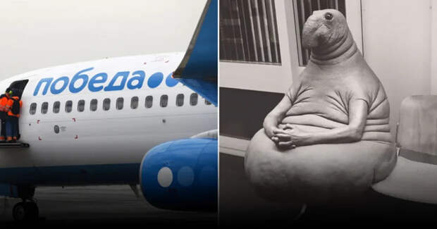 Авиакомпания «Победа» изменила правила перевозки детей после судебного решения