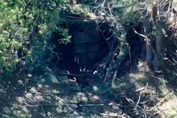 Впервые уничтожена не встречавшая ранее в зоне в СВО 40-ствольная M93A3 Heron