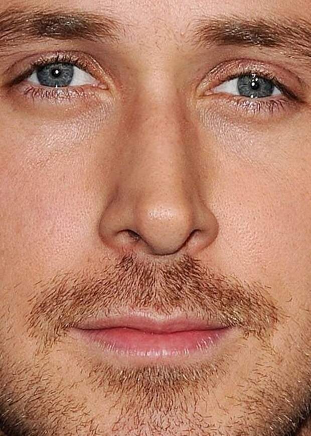 Звезды крупным планом