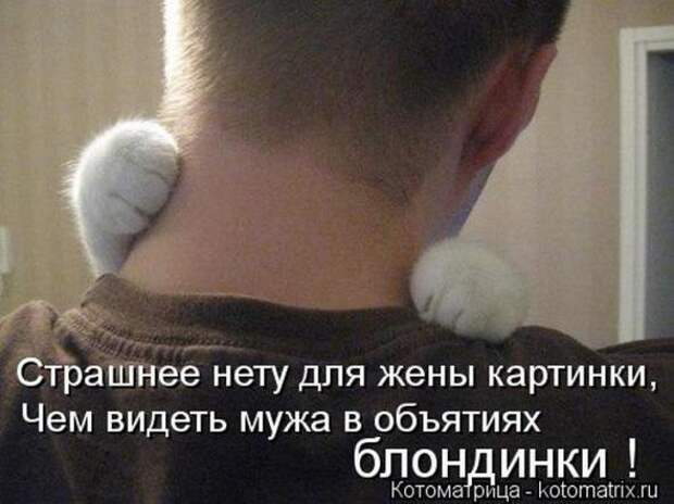 Котоматрицы(картинки с подписями)