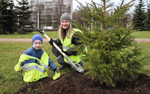 Посадят деревья и прочитают сказки