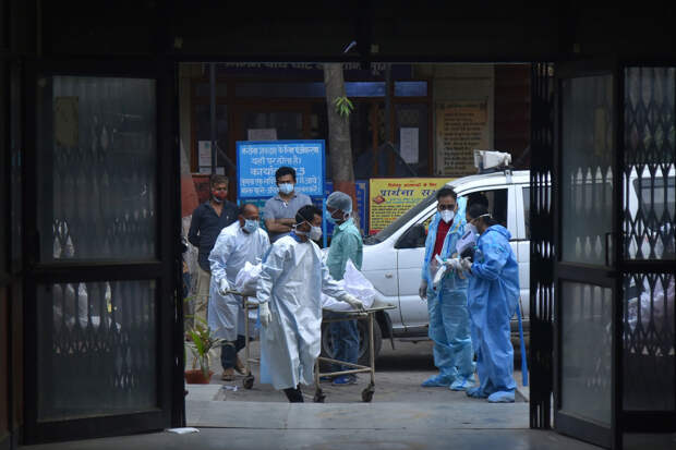 Роспотребнадзор: в России нет условий для распространения вируса Нипах