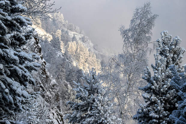 Шансы найти бесследно пропавших в тайге Усольцевых оценили
