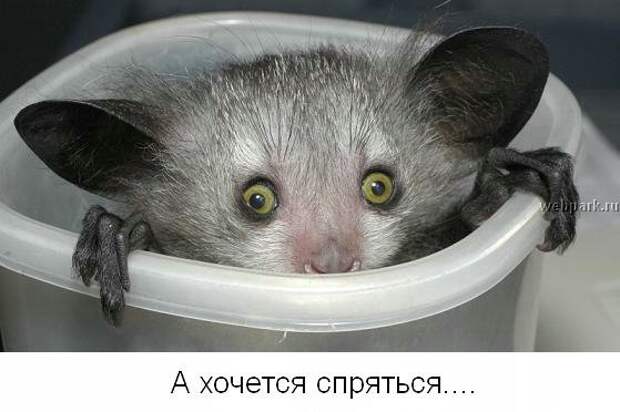 Не унывай! :) (22фото)