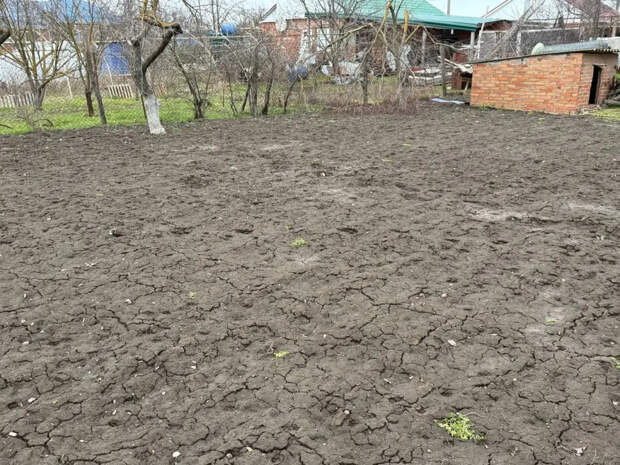 Не пропустите март: полный список культур, которые нужно посеять на рассаду прямо сейчас