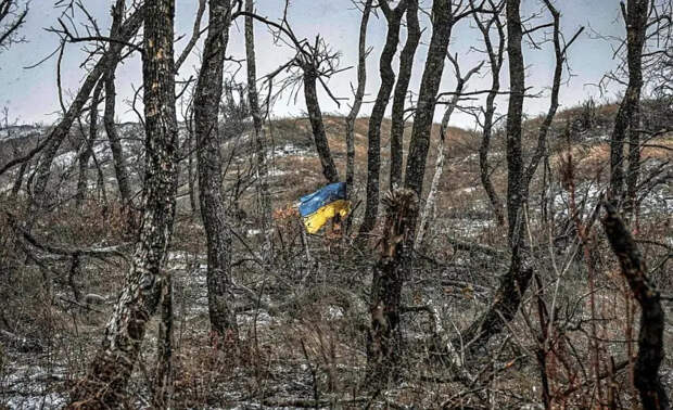 Ходаковский: Украина в ходе противостояния с Россией включила механизм на самоликвидацию