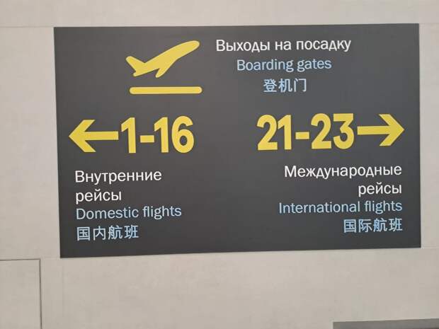 Прилетевших в Новосибирск 49 мигрантов не выпустили из самолёта
