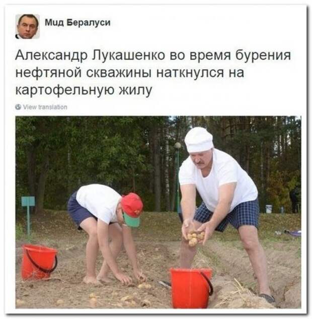 Отличные приколы из социальных сетей: поднимите себе настроение!