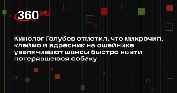 Кинолог Голубев отметил, что микрочип, клеймо и адресник на ошейнике увеличивают шансы быстро найти потерявшеюся собаку