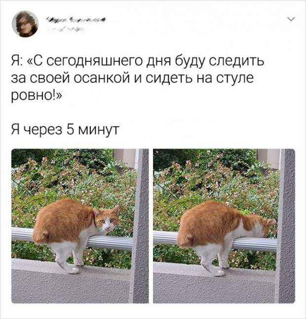 Подборка забавных твитов