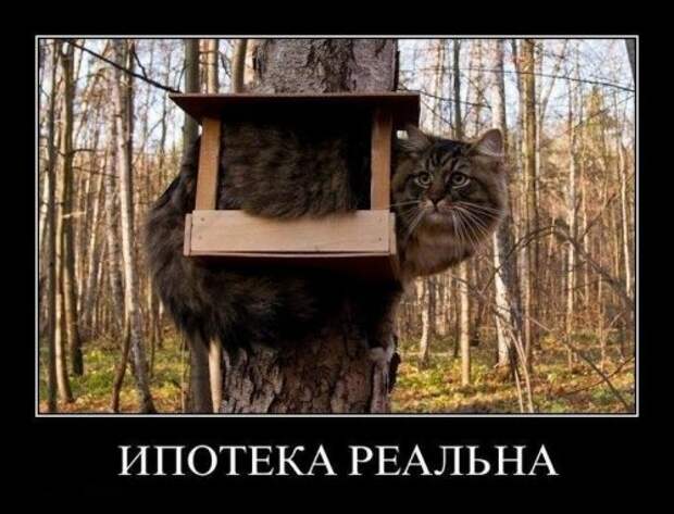 Демотиваторы смешные новые (22 шт)