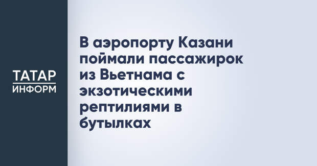 В аэропорту Казани поймали пассажирок из Вьетнама с экзотическими рептилиями в бутылках
