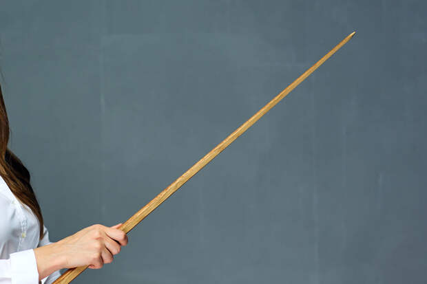 ОН: в Шегарском районе Томской области хотят отказаться от 10-11 классов