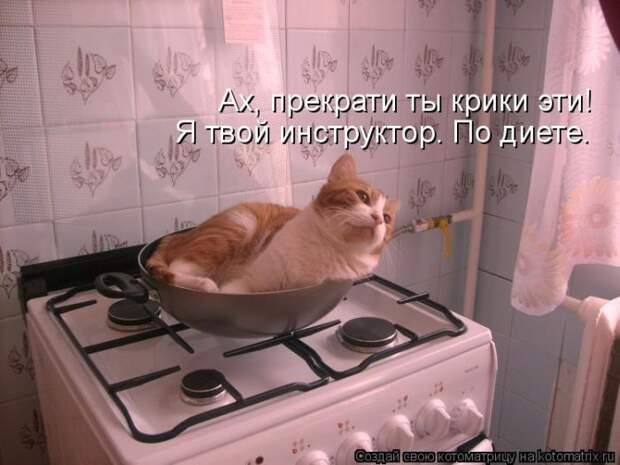 Мысли вслух :) 23 пушистые мыслишки
