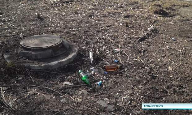 Мусор на газонах, осколки и листва: кто должен наводить порядок во дворах и на улицах Архангельска