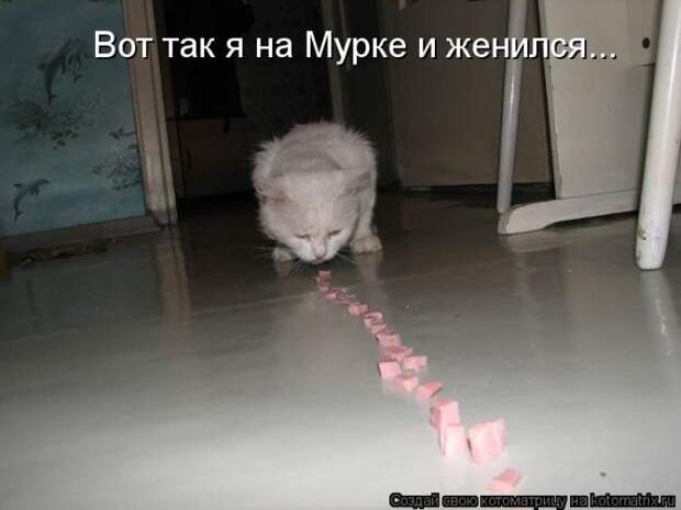 Мысли вслух :) 23 пушистые мыслишки