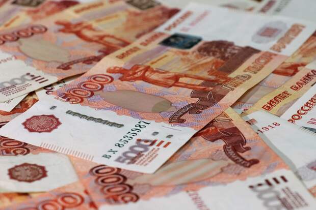 Mash: Митрошина задолжала налоговой 96 млн рублей