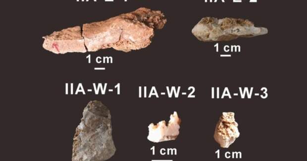 Ученые предлагают уважить время появления Homo sapiens в Восточной Азии до 130 тысяч лет назад