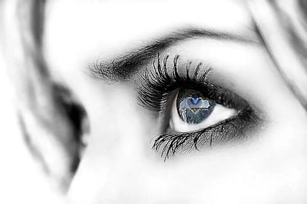 Глаза полные счастья. Красивые глаза. Красивые женские глаза. Глаз картинка. Картинки глаза красивые женские.