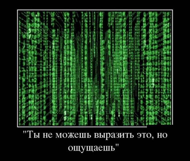 Демотиваторы (30 фото)
