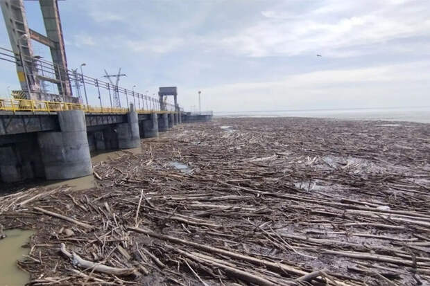 Бревна в фарватере: на ГЭС Новосибирска проведут сброс древесины
