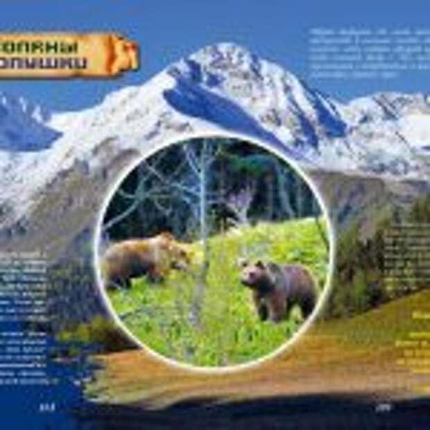 Готовится к печати книга про растения Кавказского заповедника