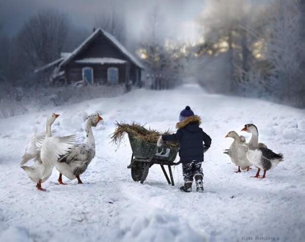 жизнь в деревне