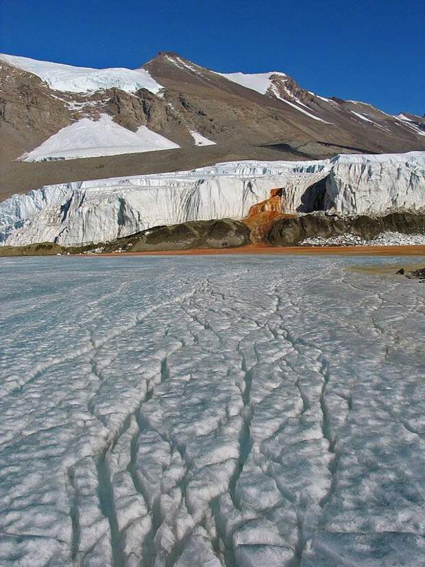 Кровавый водопад