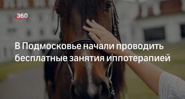 Иппотерапевт Стрельцова: занятия с лошадьми улучшают состояние детей