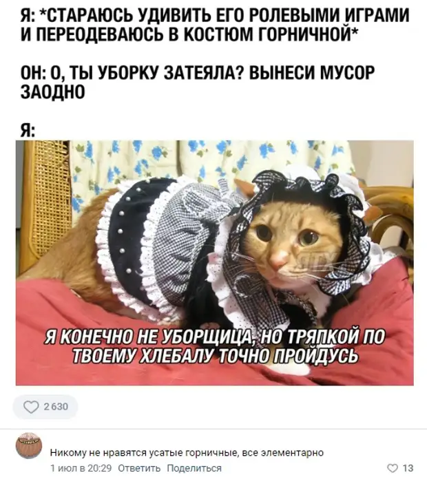 Пошлый Комментарий
