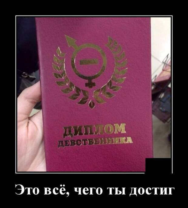 Демотиваторы (20 фото)
