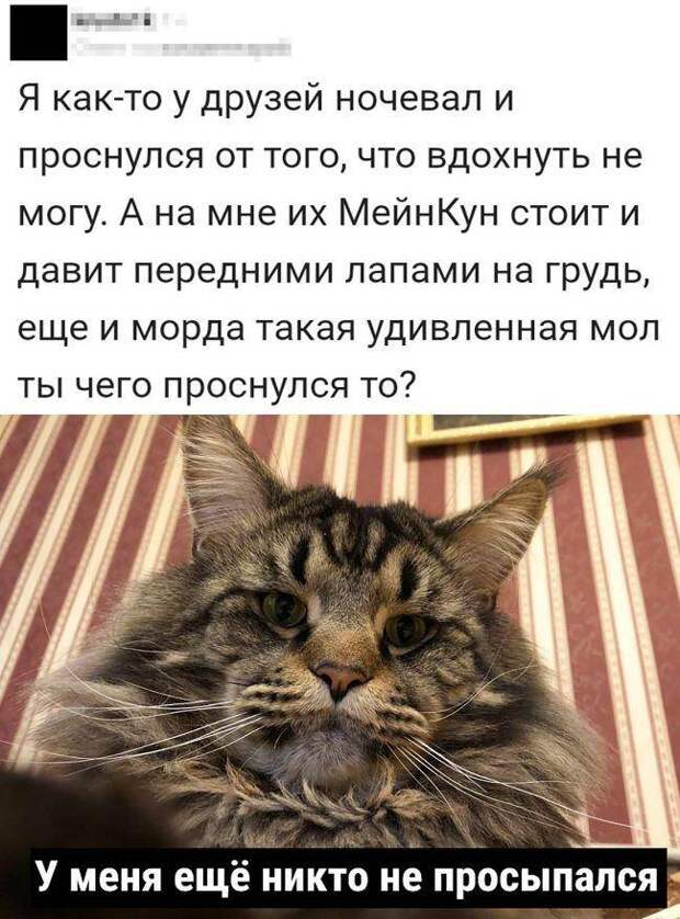 картинки приколы (11)