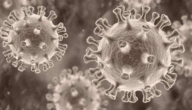 Инфекционист раскрыл нелицеприятную правду об оспе обезьян