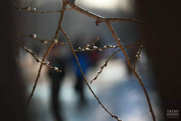 Татарстанда алмашынучан болытлы һава торышы көтелә һәм көндез +13 градуска кадәр җылыта