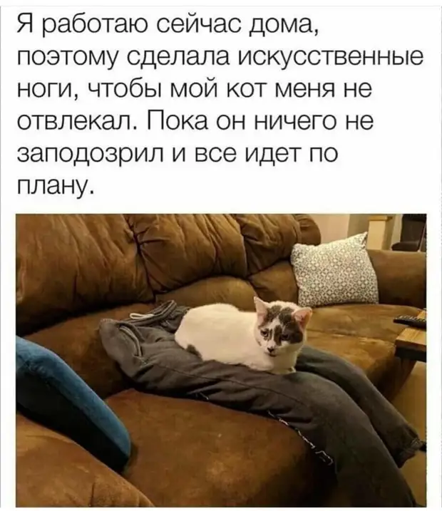 Автобус - это троллейбус, которому не изменили говорит, тридцать, можно, идиот, рабочих, смотрит, только,  Звонок, стройку, коридор, кричит, Вырубай, кондиционер, нашиHа, Прораб, собирается, приехать, инспекция, инструктирует, случилось