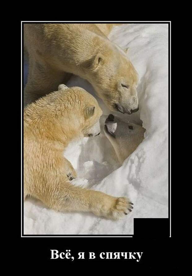 demotivatory-kartinki-smeshnye-kartinki-fotoprikoly