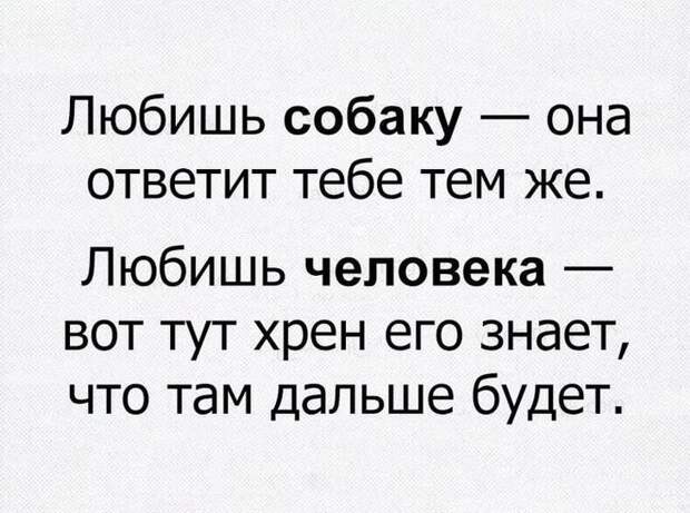 Реально смешные истории от пользователей Интернета – для вашей улыбки