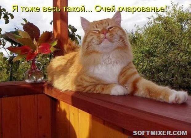 061c73ded5e291e145efe9826ed_prev