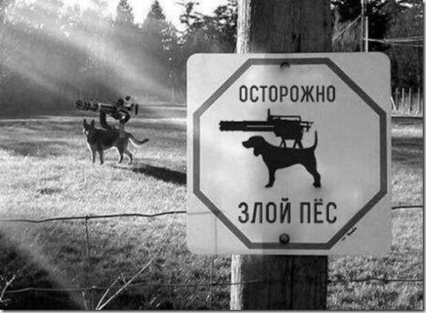 f89e9ca69ec3f68d5f277600ad6_prev f89e9ca69ec3f68d5f277600ad6_prev