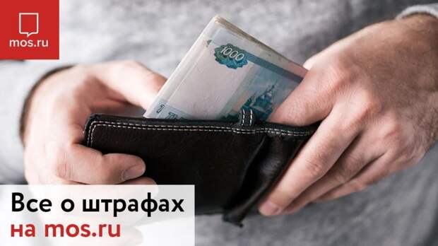 Водители могут быстро и легко оплатить штрафы на портале mos.ru. Фото: mos.ru