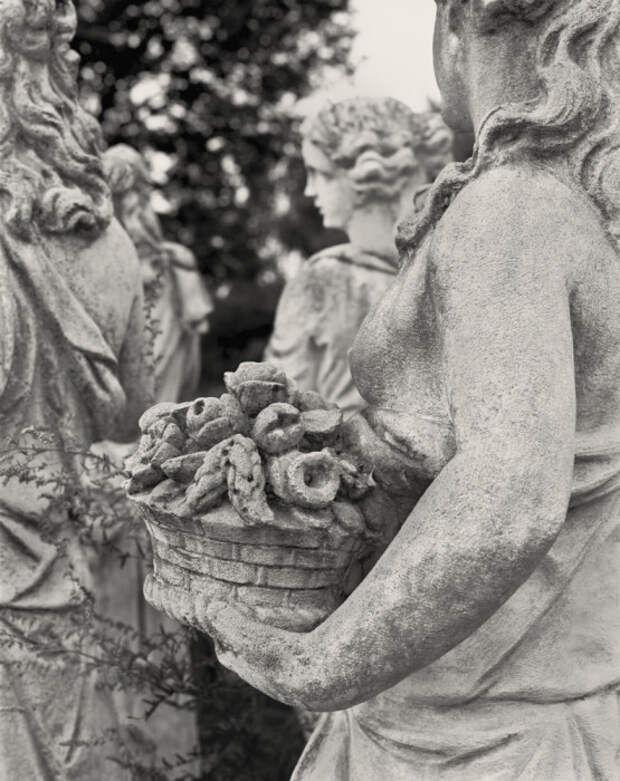 Корзина цветов. Фотохудожник Вильям Кастеллана (William Castellana). Корзина цветов. Фотохудожник Вильям Кастеллана (William Castellana).