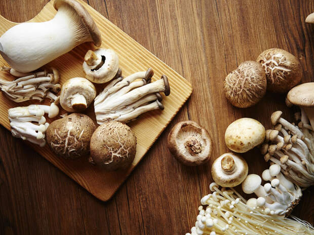 Какие грибы самые полезные