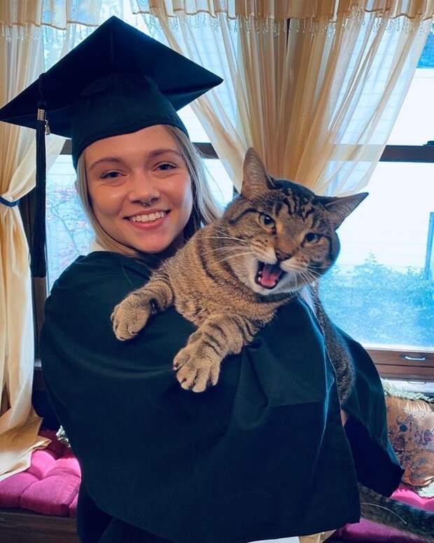 15 котиков. Кошка 15+